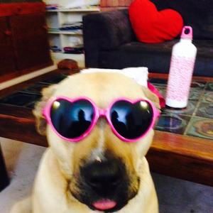 Meet your Posher, Stacey